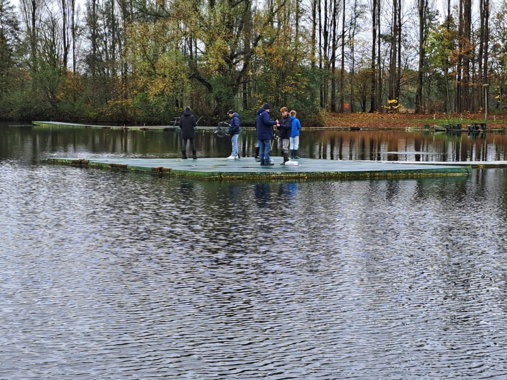 streetfish-les2-2025_3